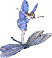 fairy